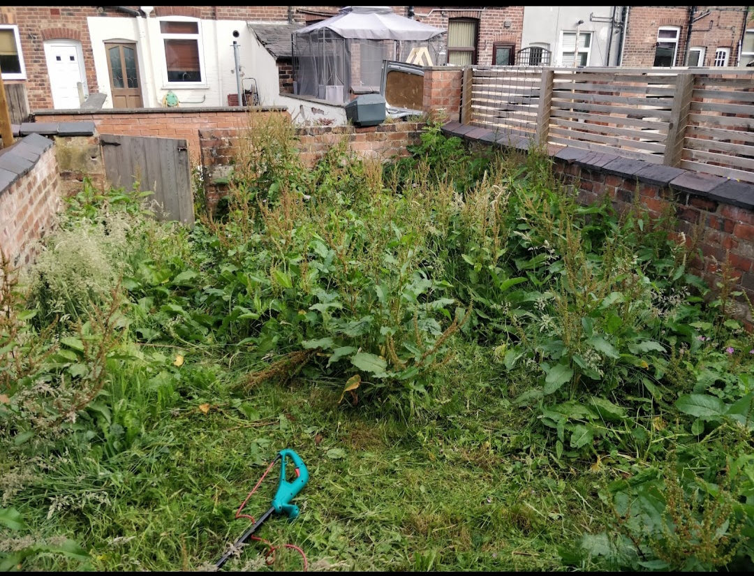 Before: tired lawn in Chorley prior to artificial grass installation by Wolsten