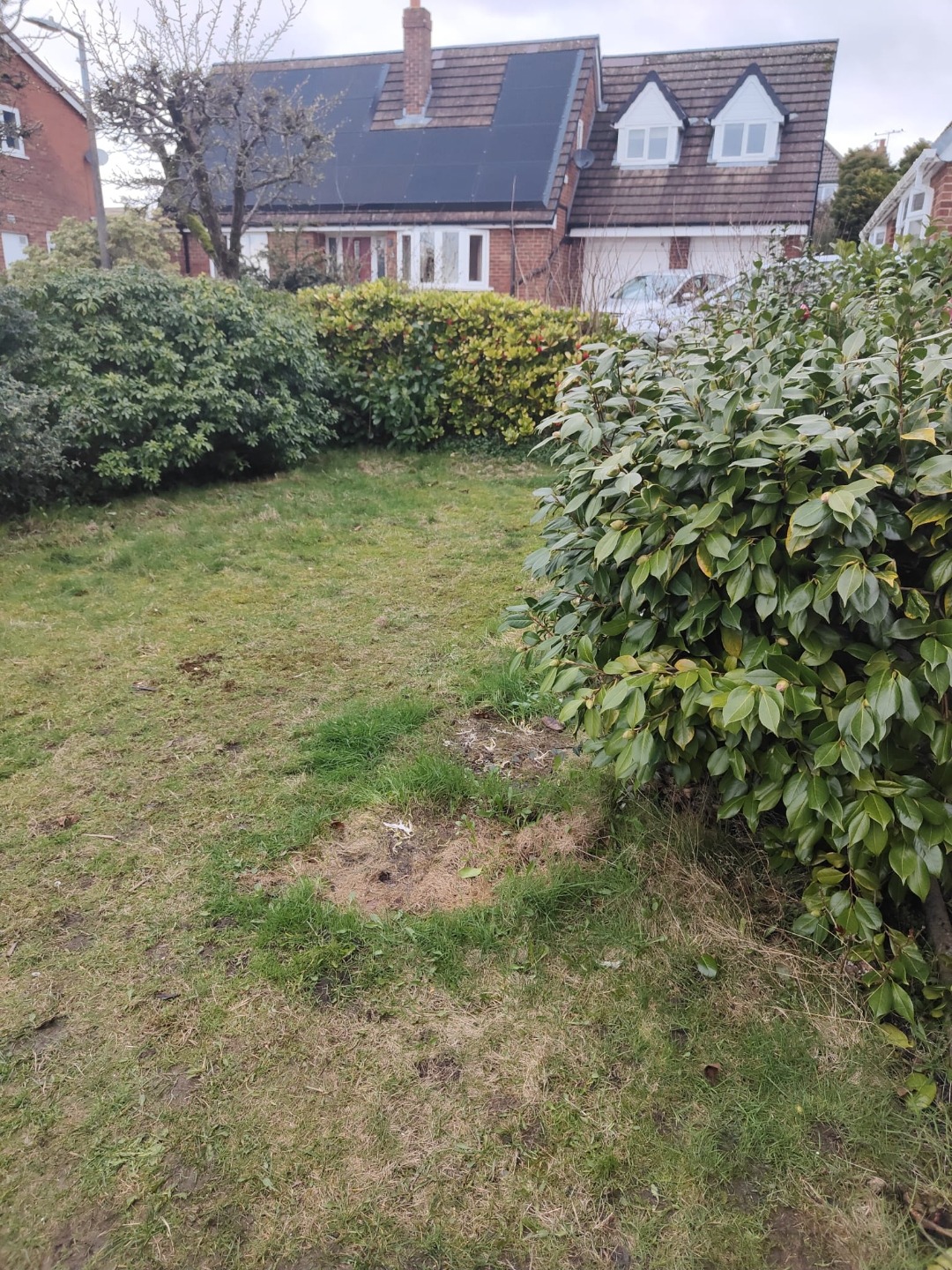 Bolton artificial grass project