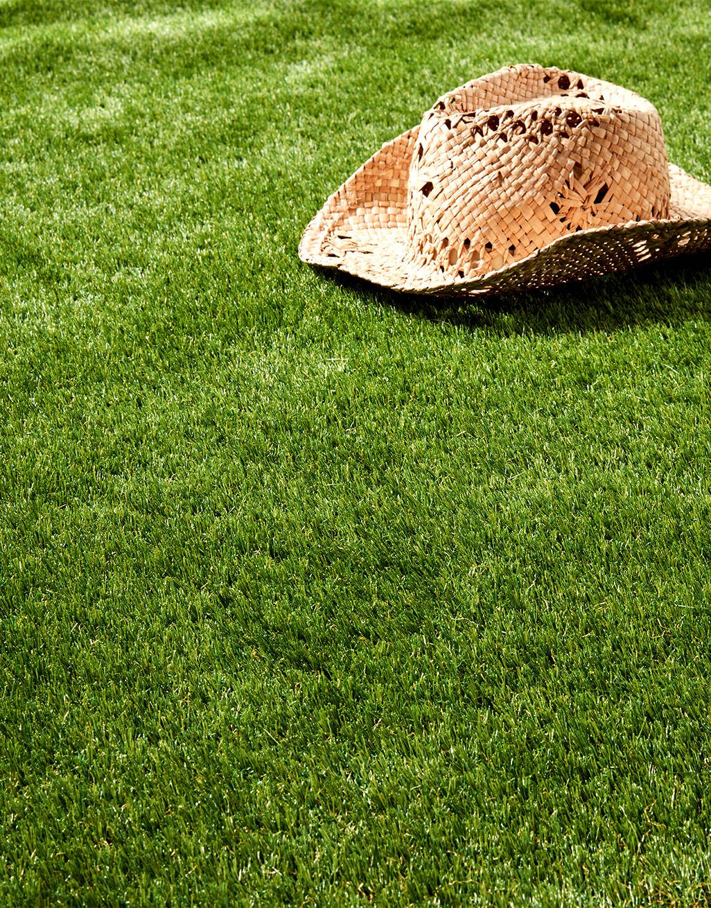 Hollywood artificial grass