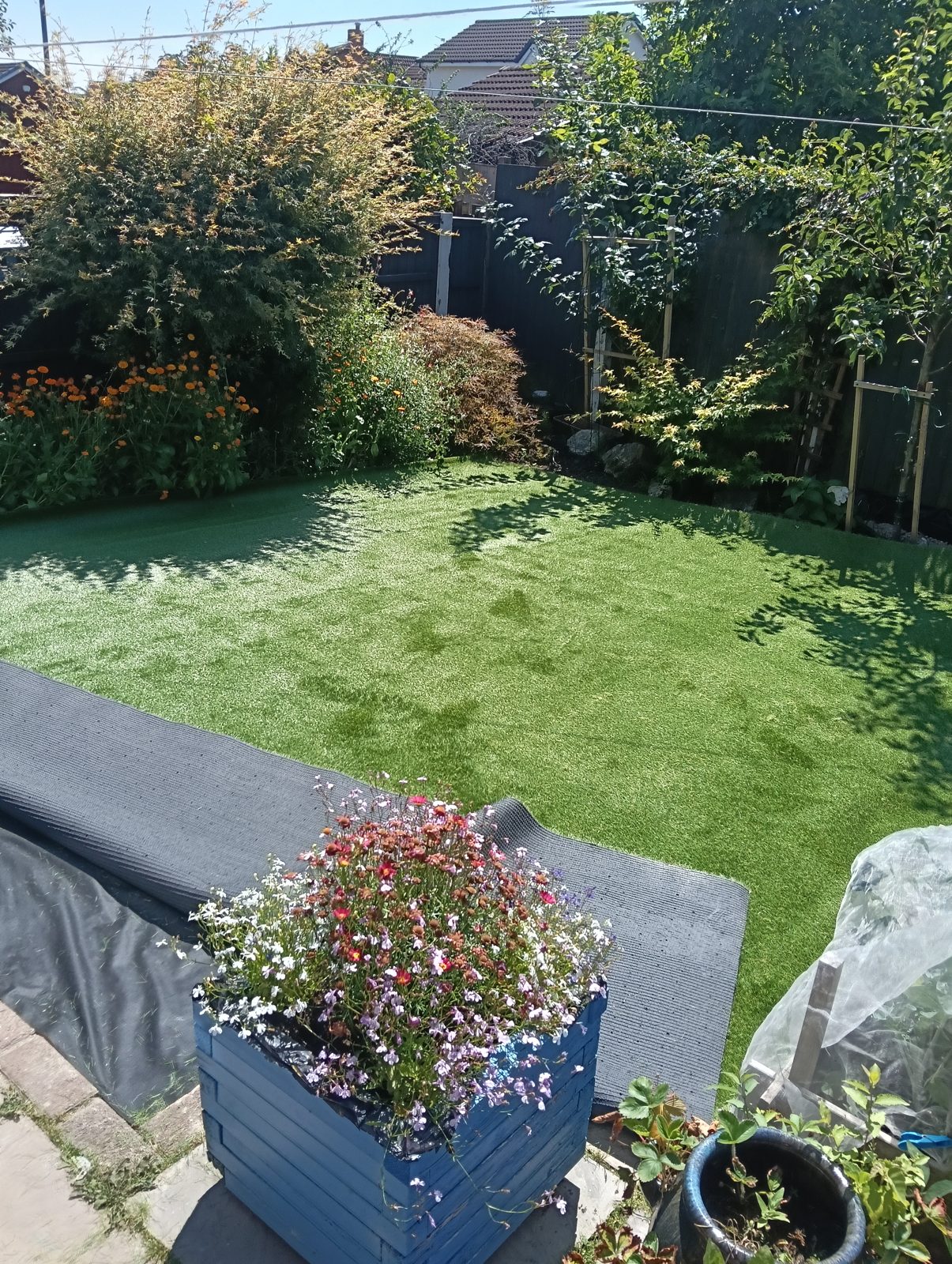 Alderley Edge artificial grass project