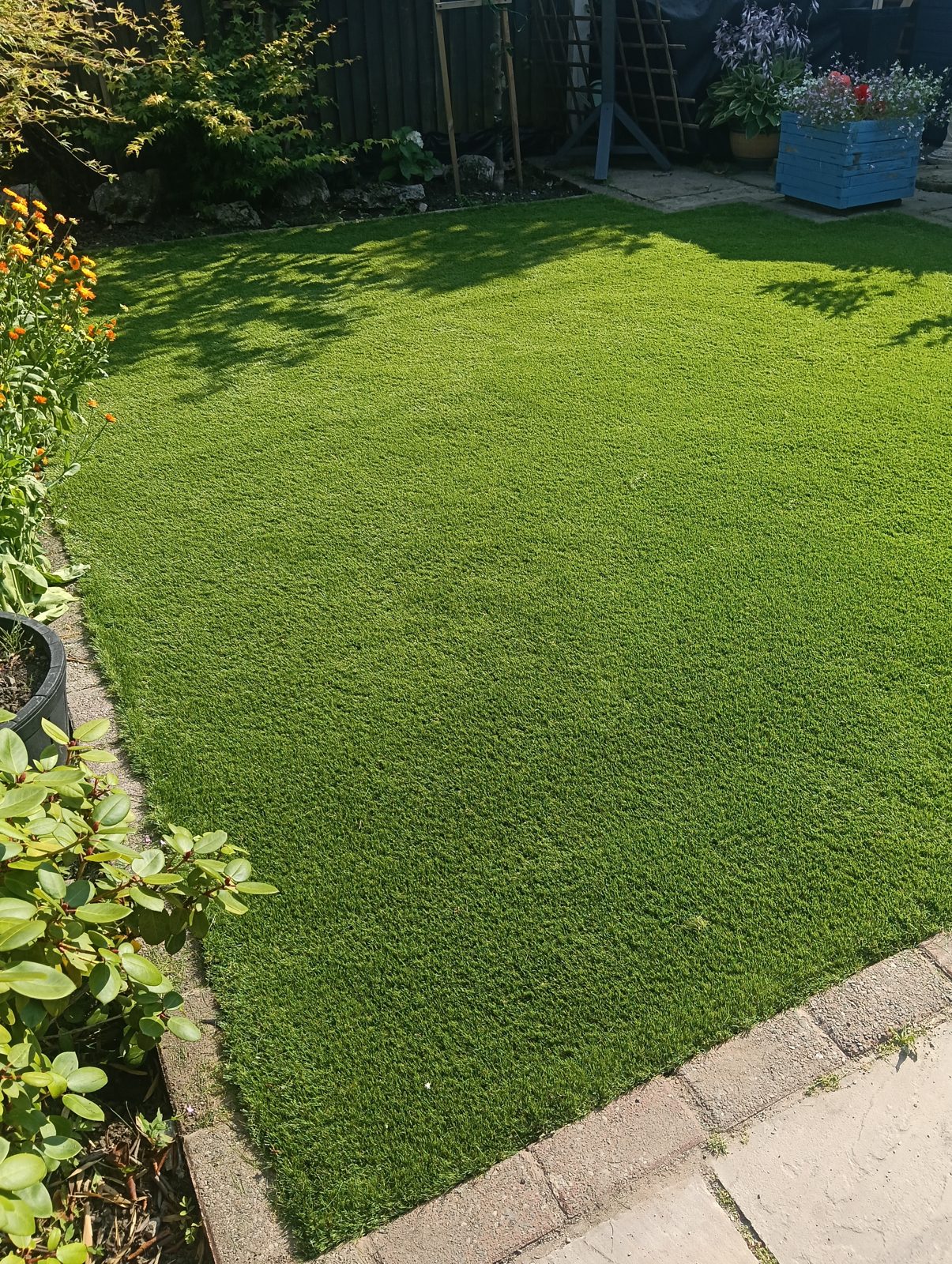 Replacement artificial grass lawn in Alderley Edge