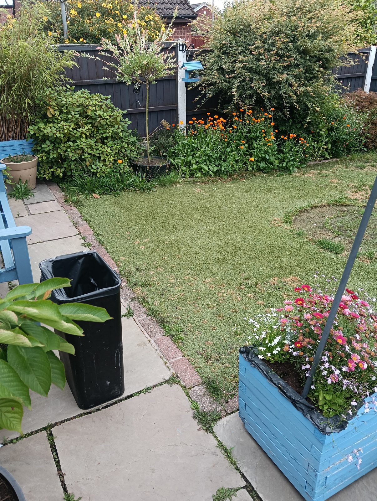 Alderley Edge artificial grass project