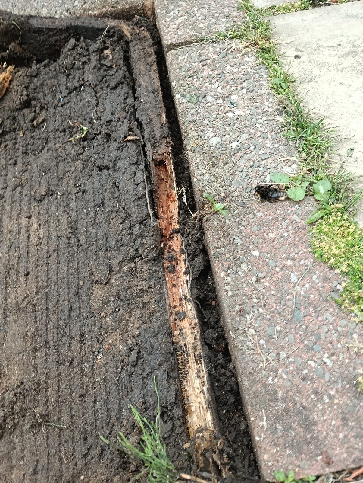Alderley Edge artificial grass project