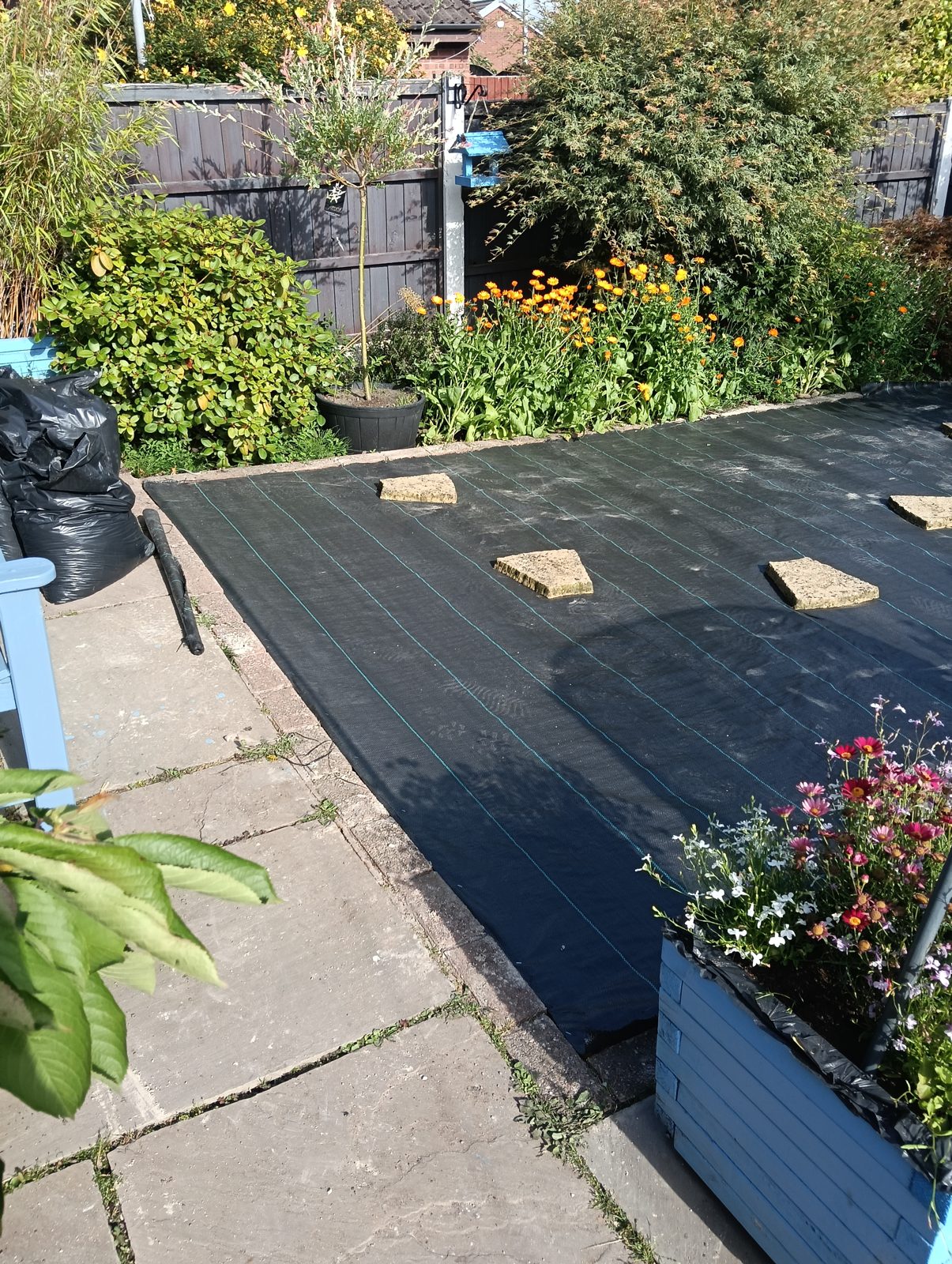 Alderley Edge artificial grass project
